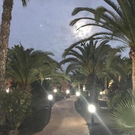 My Pretty Home - Lovely And Spacious Surrounded By Tropical Gardens - Private Covered And Uncovered Terrace - Pool - Parking - Free Fibre Optic Internet Corralejo Exterior foto
